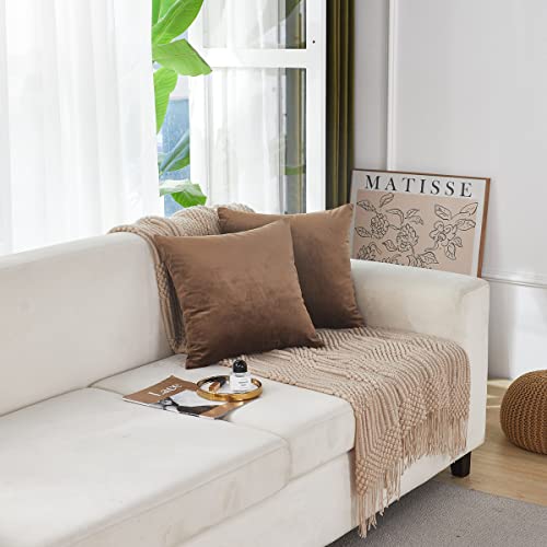 INtex CURTAINS HOUSE Soft Thick Velvet Throw Pillow Covers Decorative Square Cushion Cover For Couch Sofa Bedroom Living Room - set of 2 Pieces