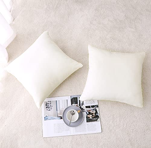 INtex CURTAINS HOUSE Soft Thick Velvet Throw Pillow Covers Decorative Square Cushion Cover For Couch Sofa Bedroom Living Room - set of 2 Pieces