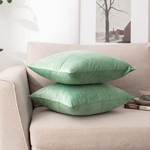 INtex CURTAINS HOUSE Soft Thick Velvet Throw Pillow Covers Decorative Square Cushion Cover For Couch Sofa Bedroom Living Room - set of 2 Pieces