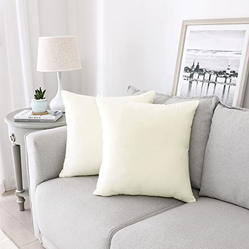 INtex CURTAINS HOUSE Soft Thick Velvet Throw Pillow Covers Decorative Square Cushion Cover For Couch Sofa Bedroom Living Room - set of 2 Pieces