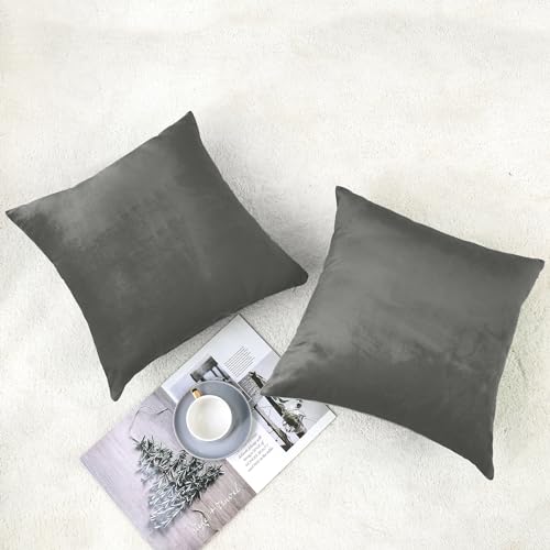 INtex CURTAINS HOUSE Soft Thick Velvet Throw Pillow Covers Decorative Square Cushion Cover For Couch Sofa Bedroom Living Room - set of 2 Pieces