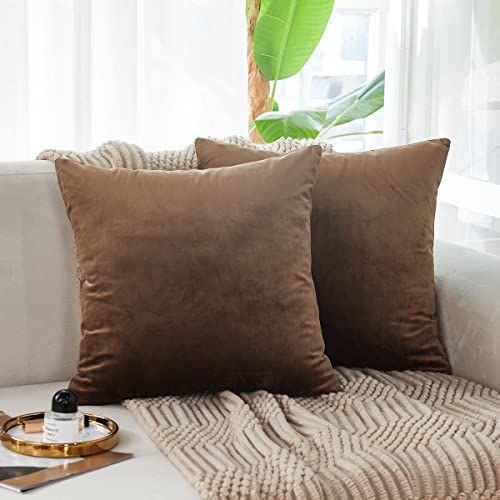 INtex CURTAINS HOUSE Soft Thick Velvet Throw Pillow Covers Decorative Square Cushion Cover For Couch Sofa Bedroom Living Room - set of 2 Pieces
