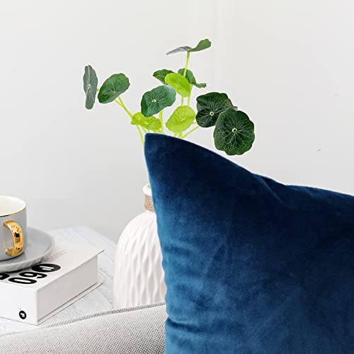 INtex CURTAINS HOUSE Soft Thick Velvet Throw Pillow Covers Decorative Square Cushion Cover For Couch Sofa Bedroom Living Room - set of 2 Pieces