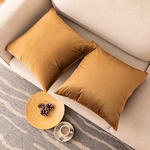 INtex CURTAINS HOUSE Soft Thick Velvet Throw Pillow Covers Decorative Square Cushion Cover For Couch Sofa Bedroom Living Room - set of 2 Pieces